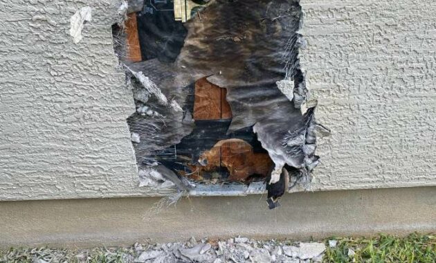 Stucco Repair Contractors A Comprehensive Guide