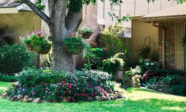 Professional Landscaping Services A Comprehensive Guide
