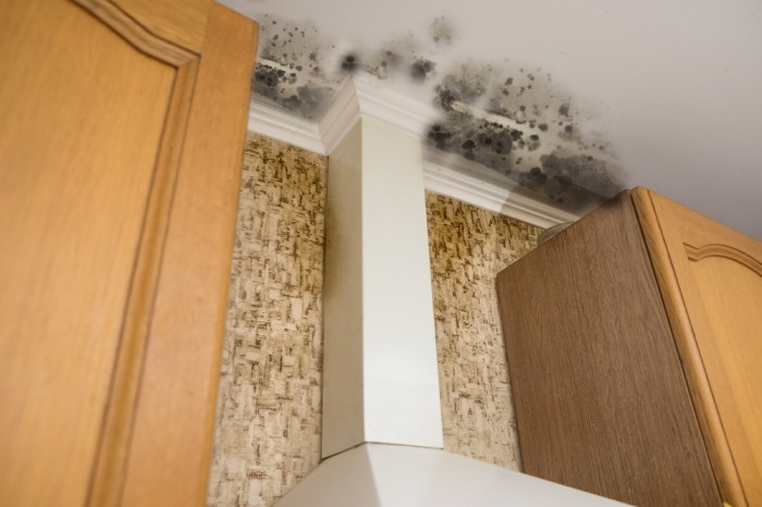 Mold checklist form pdf template inspection plan signnow table sign printable Exterior Home Mold Remediation A Complete Guide